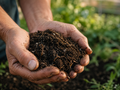 Pelletized Soil Food - 1 lb